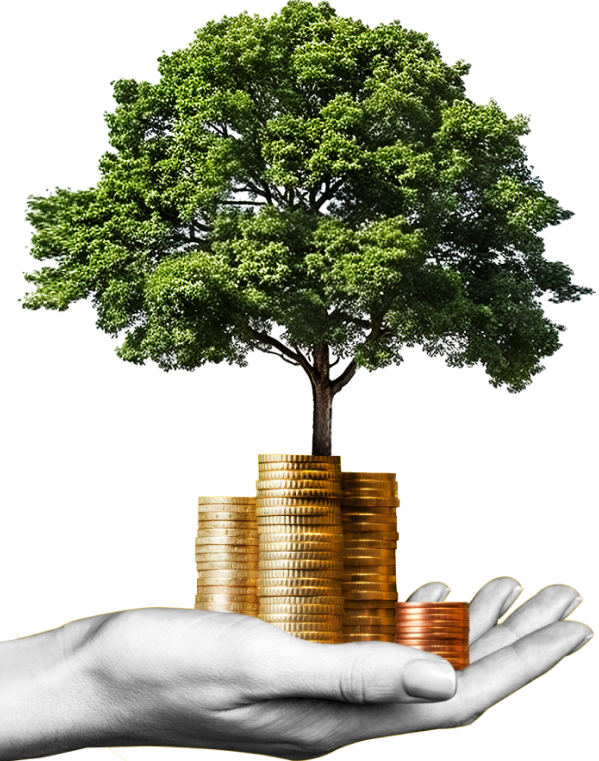image_group_02 https://wolfepsychology.io/wp-content/uploads/2024/09/image_group_02.png